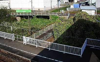 �z�O�ԓ��w