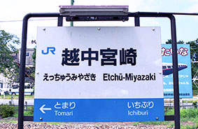 �z���{��w