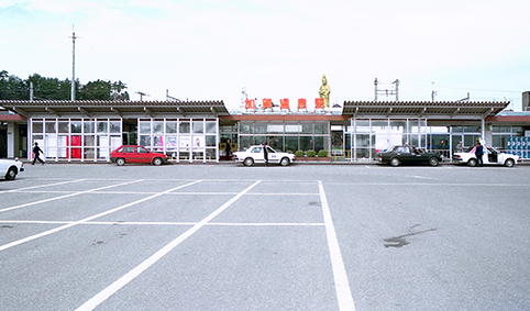 ���ꉷ��w ���w��