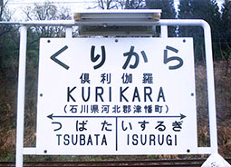 �䗘�����w