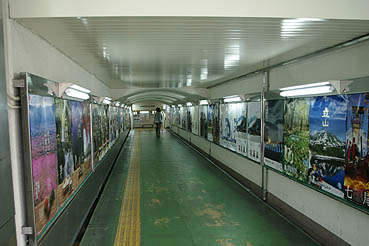 �։�w ���w��