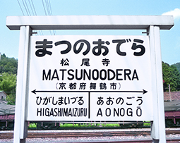 �������w