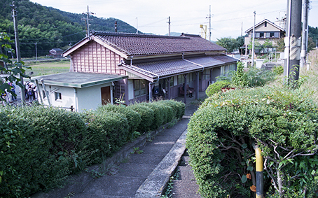 ���l�� �������w