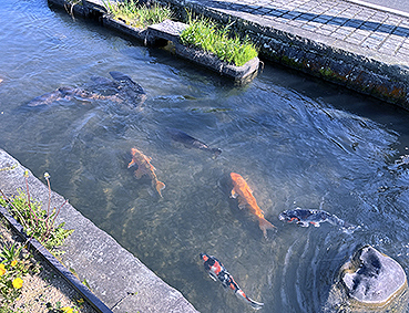 �z���k�� �z�O�����w