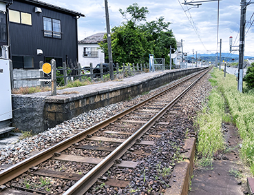 ������ �\���w