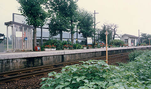 �z���R�c�w