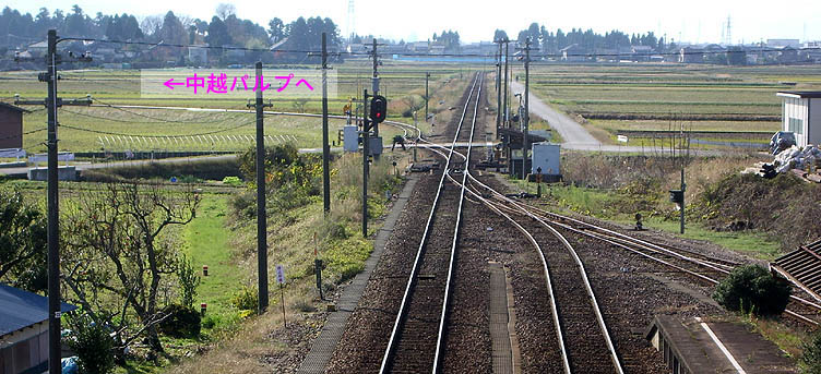 ���z�p���v��p��