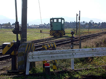 ���z�p���v��p��