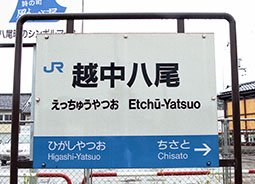 �z�������w