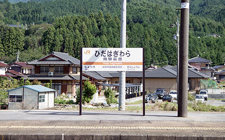 ��˔����w