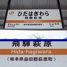 ��˔����w