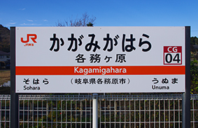 �e�������w