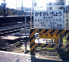 �t������