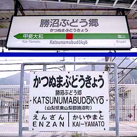 �����Ԃǂ����w