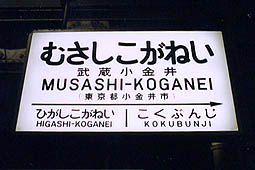 ����������w