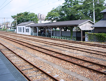 ������ �t����w ���w��