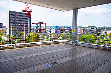 �������w