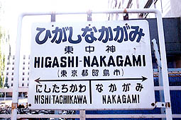 �����_�w ���w��