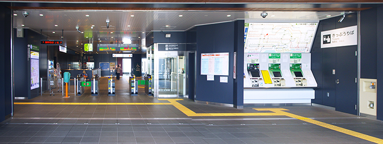 �����_�w