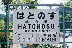 ���m���w