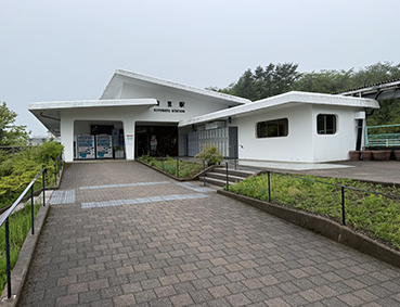 ���C�� �����w