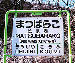 �����Ήw ���w��