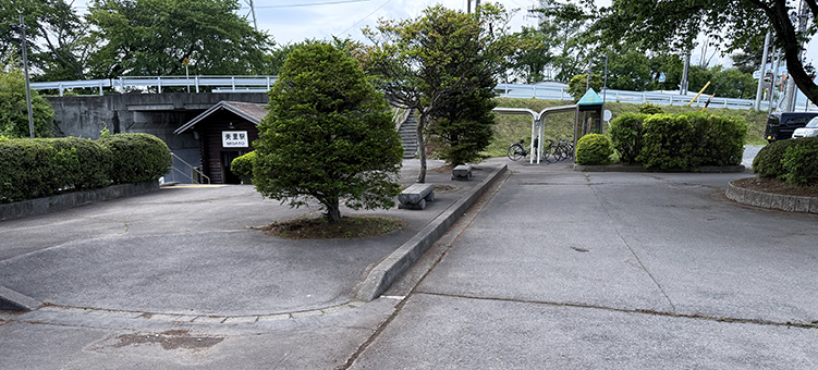 ���C�� �����w