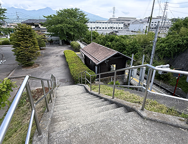 ���C�� �����w