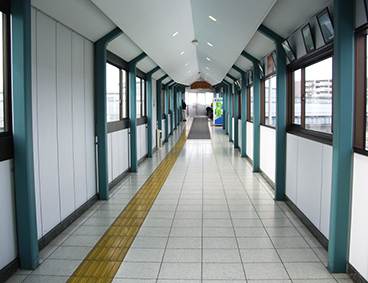 ���C�� ���v���w