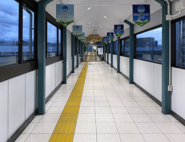 ���C�� ���v���w