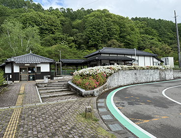 ���C�� �����w