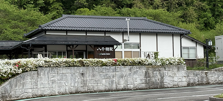 ���C�� �����w