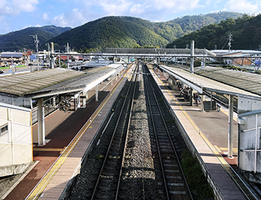 �m��� ���ȉw