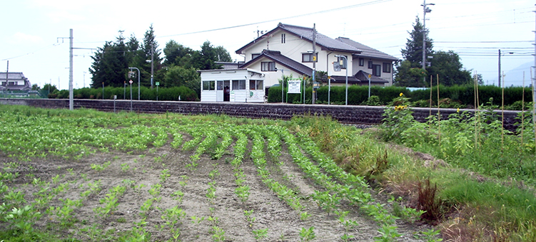 ���܌B�|�w