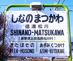 �M�Z����w ���w��