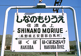 �M�Z�X��w ���w��