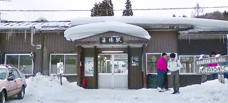 �ʏ�w ���w��