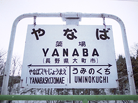 �ʏ�w ���w��