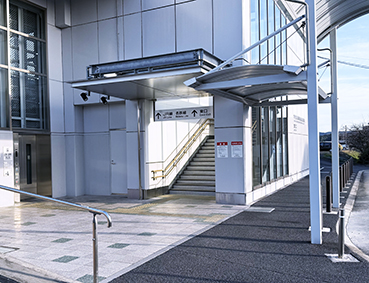 ������ ���w