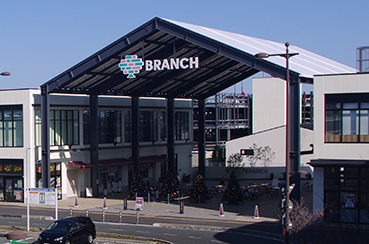 �k�����w