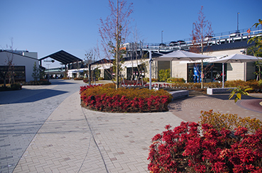 �k�����w