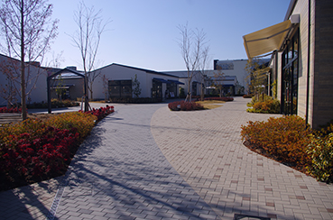 �k�����w