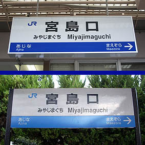 �{�����w