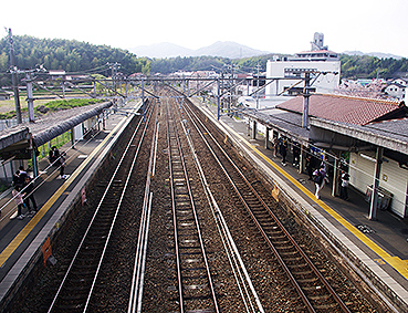 �������w