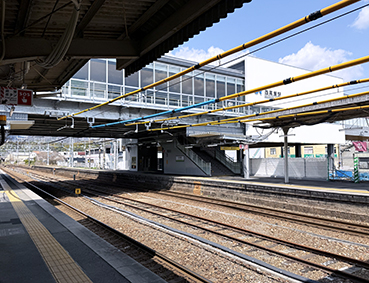 �R�z�� �������w