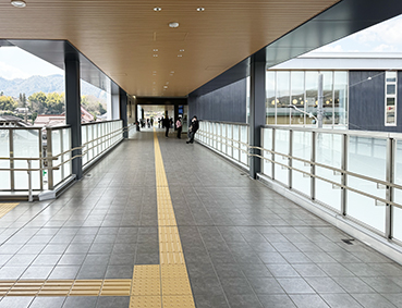 �R�z�� �������w