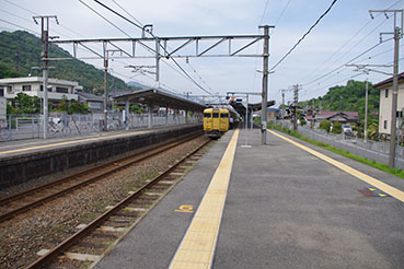 ���Y�w���w��