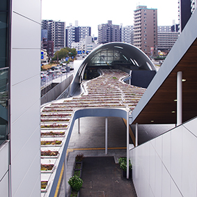 �R�z�� �V�����w