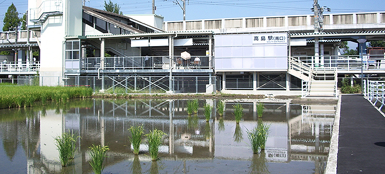 �R�z�� �����w