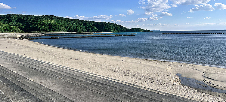 �R�z�� �x�C�w